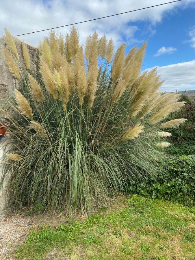 Gite Du Bois Pennier, Au Calme , A 15 Km Des Plages Du Debarquement Picauville Exterior foto